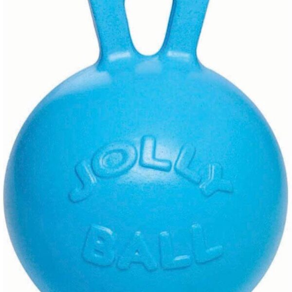 Jolly Ball Blueberry